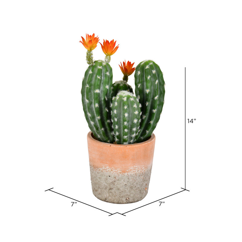14'' Faux Cactus Succulent in Ceramic Pot
