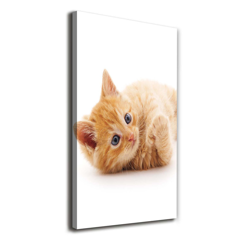 Little Red Cat - Wrapped Canvas Print