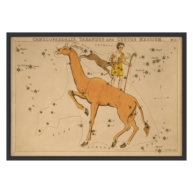 Camelopardalis Print by Grand Archives, 22" H x 31" W, Black Framed