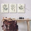 Ensemble de motifs d'herbes vertes et botaniques vertes par Martini-104610696-104610694