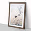 Three Birds on a Branch by Hishida Shunso - Picture Frame Painting Print-55610979-55610980
