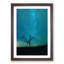 Arizona Tree Beneath The Stars - Single Picture Frame Painting-57844148-57844147