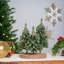 Décoration de Noël trio de sapins glacés Downswept - 8 po - non éclairé