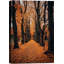 Automne automne «Orange Autumn Garden Path Nature Forest Trees» sur-99142074-99142070