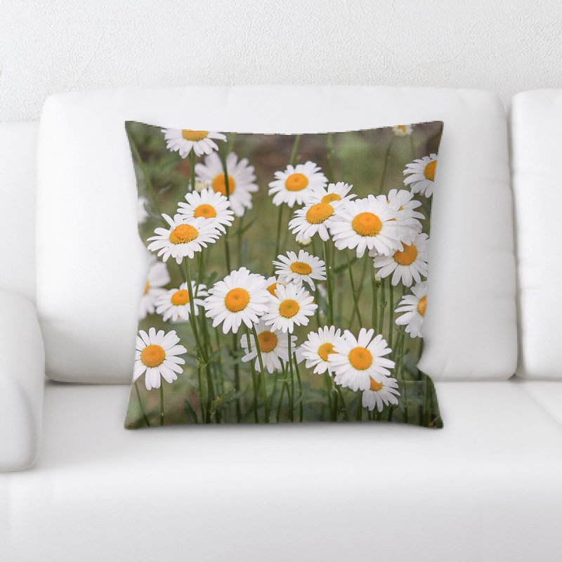 Coussin marguerites