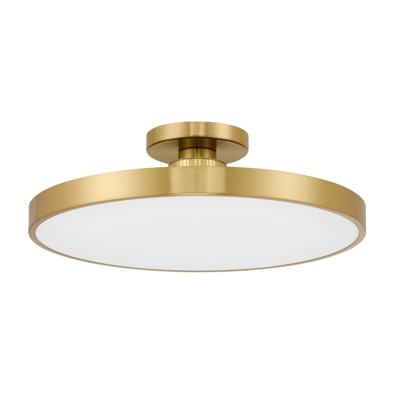 Thayer 1-Light LED Ceiling Light in Brass, Brass