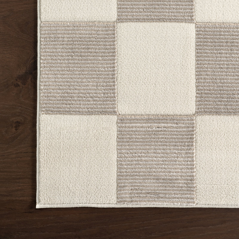 Zhuri Checkered Machine Washable Area Rug, Rectangle 5' x 8'