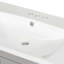 Meuble-lavabo de salle de bain avec lavabo simple, 2 portes à fermeture douce et un tiroir-201779130