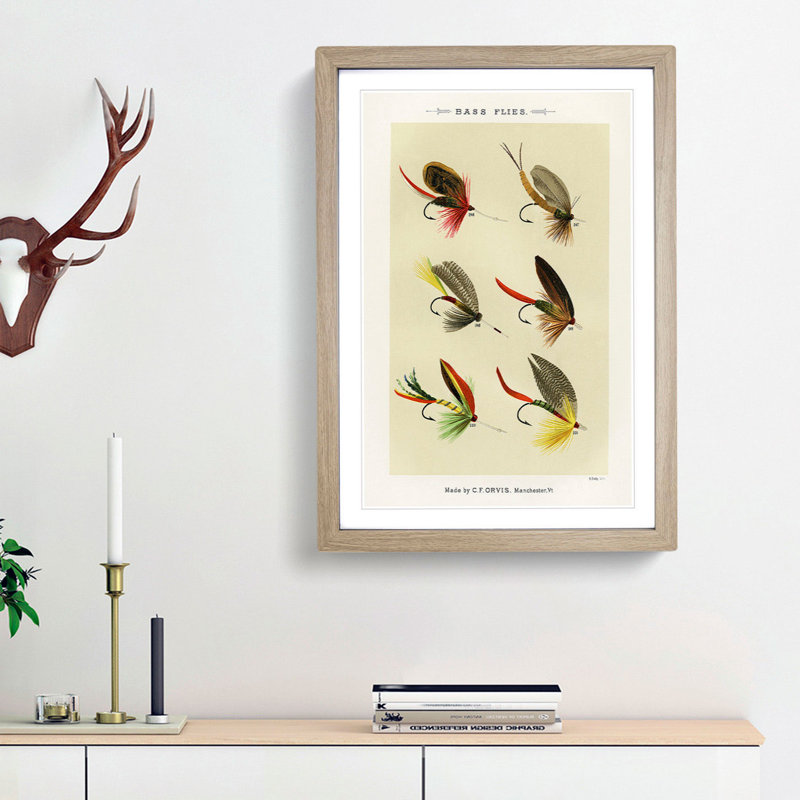 Bass Fishing Flies Versions 7 by Mary Orvis Marbury - Picture Frame Painting Print, 65cm H x 48cm W x 2cm D, Oak Framed