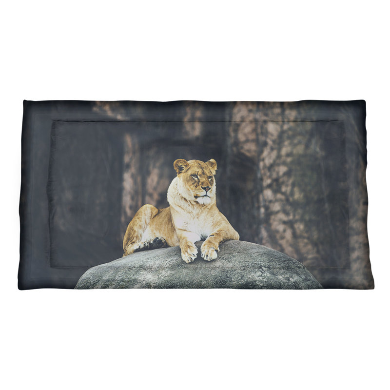 Taie décorative lioness Austin Smith, Très grand, Polyester