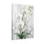 Plantes et fleurs, orchidée blanche, impression sur toile-2025488297