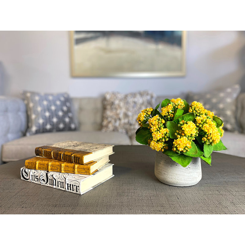 Kalanchoe Arrangement in Fiberstone Pot, Yellow