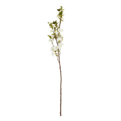 Fleurs de cerisier en fleurs (ensemble de 12)
