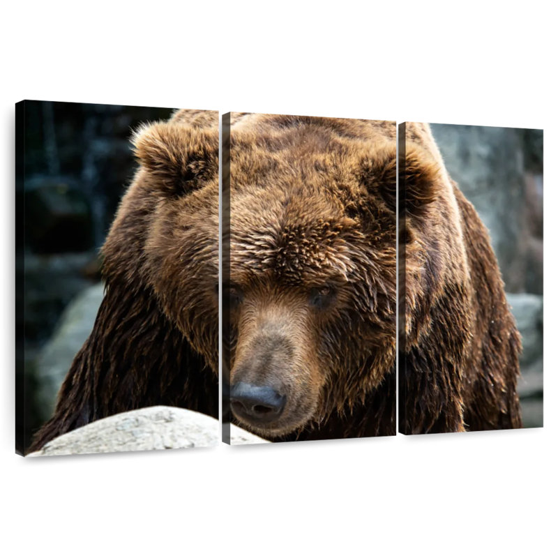 Brampt Kamchatka Brown Bear, 42" H x 65" W