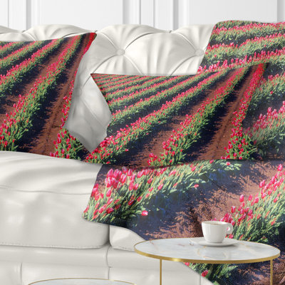 Landscape Beautiful Field of Tulip Flowers Lumbar Pillow