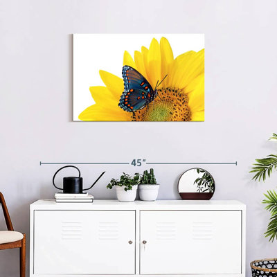 Tournesol Brampt avec papillon