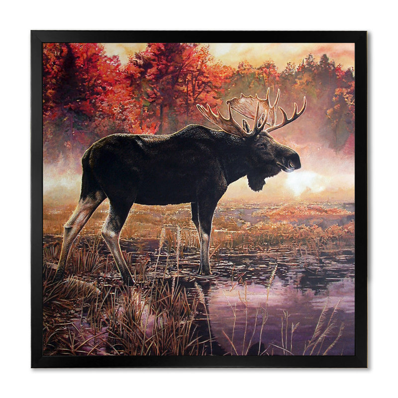 Faune sauvage dans le parc national Lake - on, Cadre photo noir, H 16 po x l 16 po x P 1 po