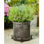 Daria Weather Resistant Planter Feet
