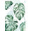 «Split Leaf I» par Grace Popp, reproduction d'art sur toile