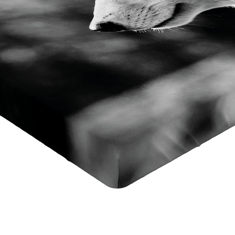 Drap-housse noir et blanc Ambesonne