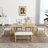 Risner Modern Risner Rectangular 35.4'' L x 59'' W Dining Set,kitchen table set,dining table set,dining room set-997582991-997582990-997582977