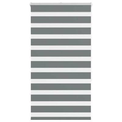 George Oliver Zebra Blind Polyester