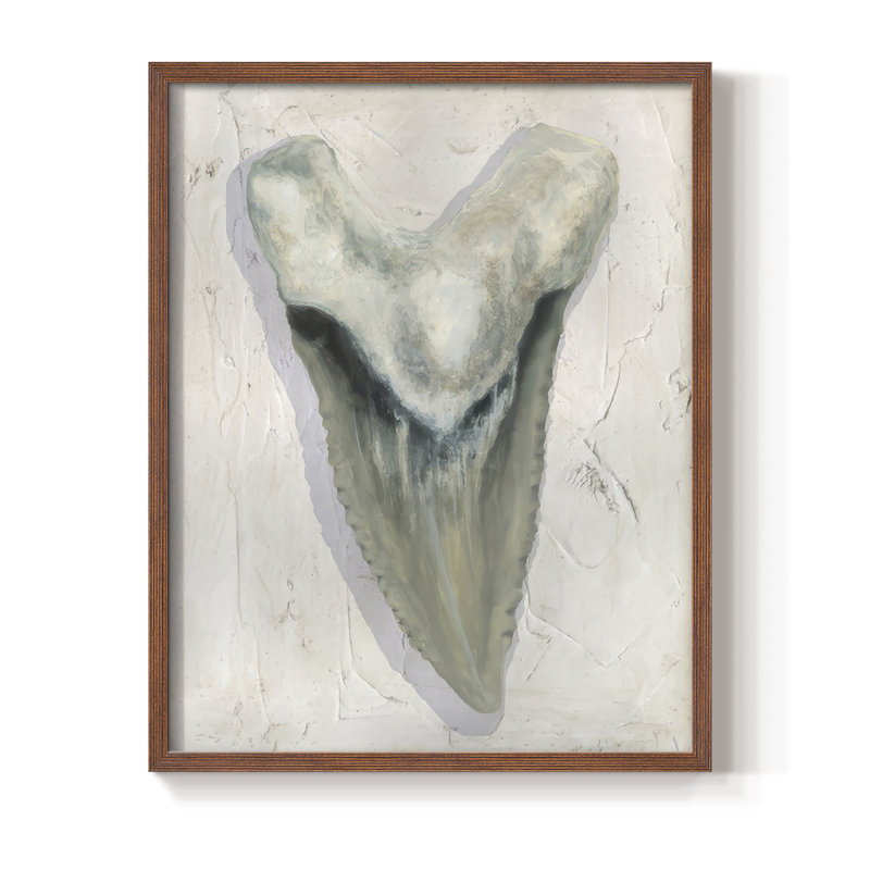 Aquarelle Sharks Tooth II, reproduction encadrée - bois massif, Cadre noyer, H 11 po x l 9 po