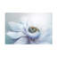 Art sur toile Jacky Parker Chill-93232421