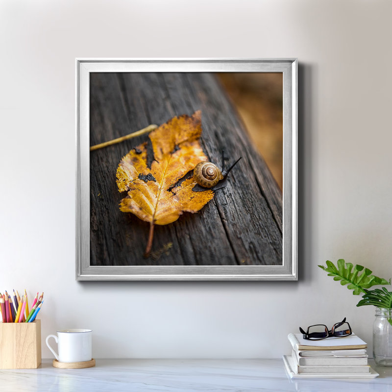 «Snail's Pace», reproduction encadrée de qualité supérieure - prête à être accrochée, H 22,5 po x l 22,5 po x P 1,5 po