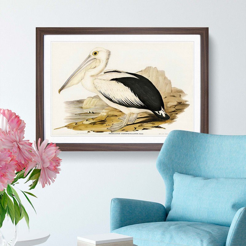 Australian Pelican by Elizabeth Gould - Single Picture Frame Painting, 33cm H x 45cm W x 2cm D, Walnut Framed