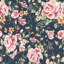 Série de papier peint Midnight Rose Garden-273452495
