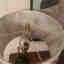 Customer photo 6 of 6