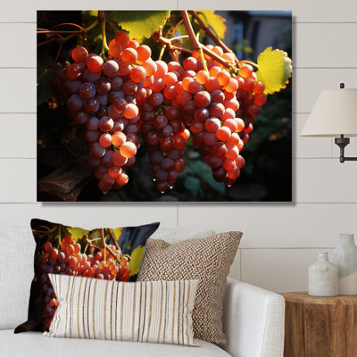Scenic Vineyard Golden Harvest