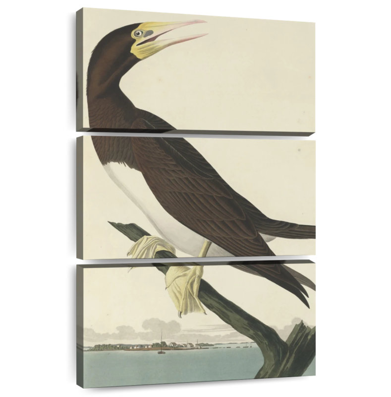Brampt Booby Gannet, 38" H x 24" W