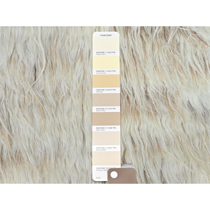 Tapis oriental carré en laine naturelle nouée à la main à texture exotique 3 po x 3 po beige 70AE9C5A29814AD5B452880BDE2B0858