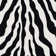 Alminus Zebra Glam Animal Print Area Rug