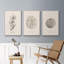 Shore Treasure Study I 3 pièces-97711701-97711695