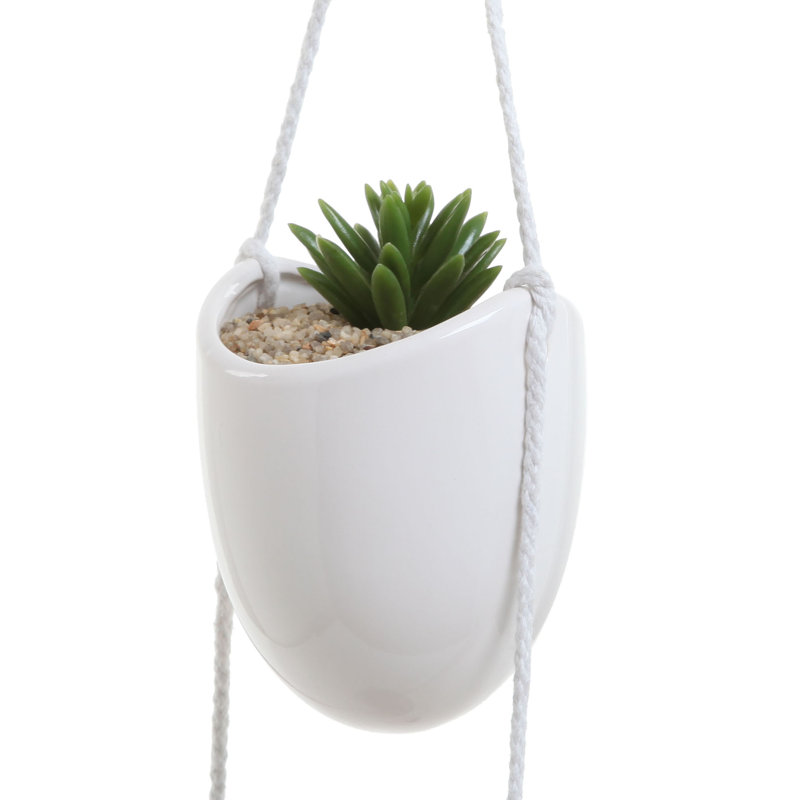 Winchendon Ceramic Hanging Planter