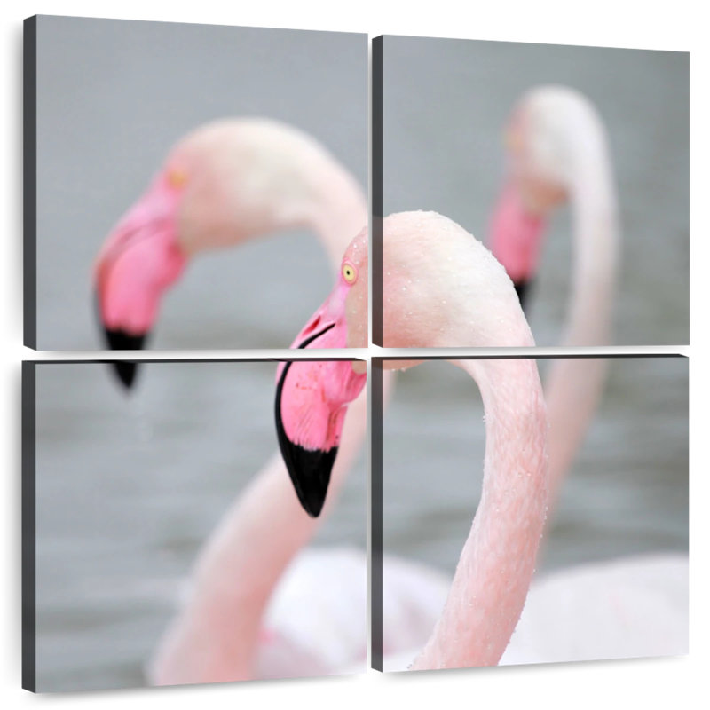 Flamants roses Brampt