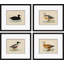 Duck Series Giclee Print by Paul Cezanne