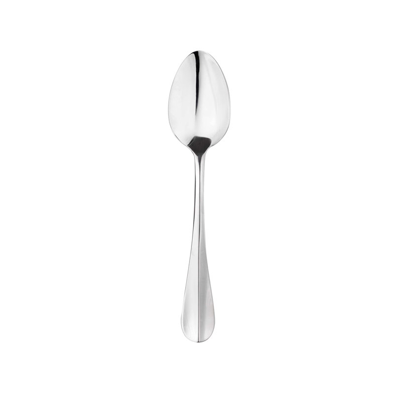 Roma Stainless Steel Serving Spoon