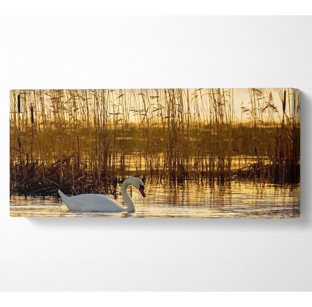 Schwanensee - Kunstdrucke auf Leinwand - Wrapped Canvas