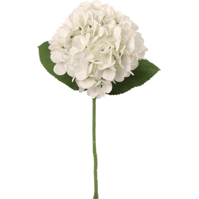 Hortensia Russ