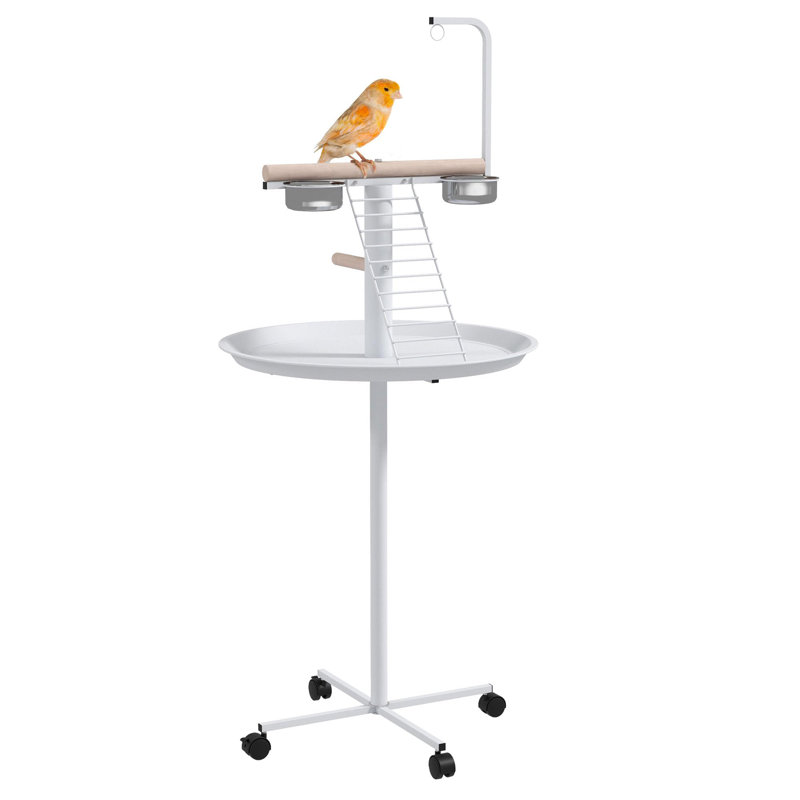 Support pour oiseaux, support pour perroquet avec roues, perchoirs, bols en acier inoxydable, plateau rond, support pour oiseaux pour l'intérieur et l'extérieur, blanc, bois