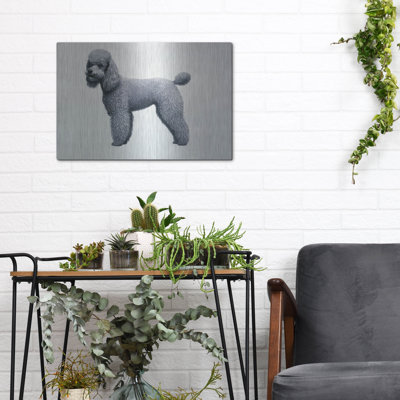 "Caniche" par Harro Maass