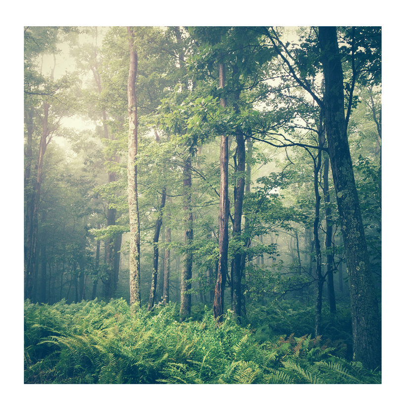 Inner Peace by Olivia Joy StClaire - Wrapped Canvas Print, 66.04 cm H x 66.04 cm W x 1.91 cm D