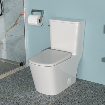 Toilette monobloc en céramique, avec chasse d'eau