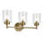 3 - Light Dimmable Vanity Light-850544068
