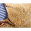 Burkart Shag Area Rug-939711954