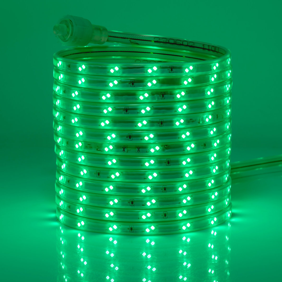 Heigo 1800'' LED Rope Lights The Holiday Aisle® 